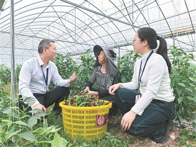 图片新闻-广西纪检监察网