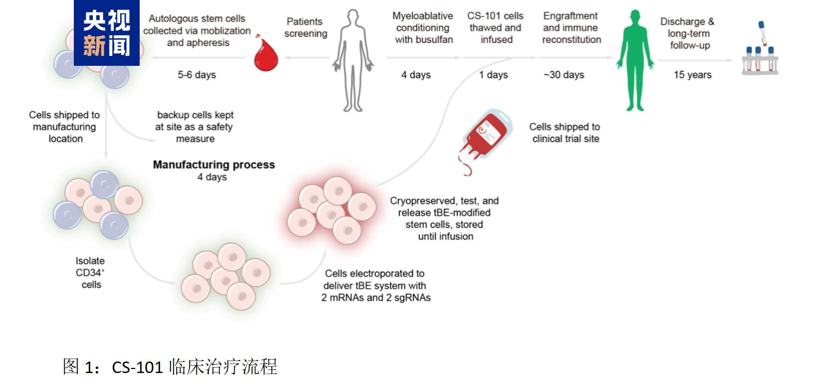 我国科学家研发新型基因编辑技术，有望让重症地贫患者摆脱输血依赖