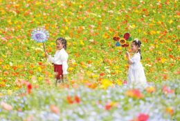 春假叠加清明假期：出游大军“含娃量”爆表