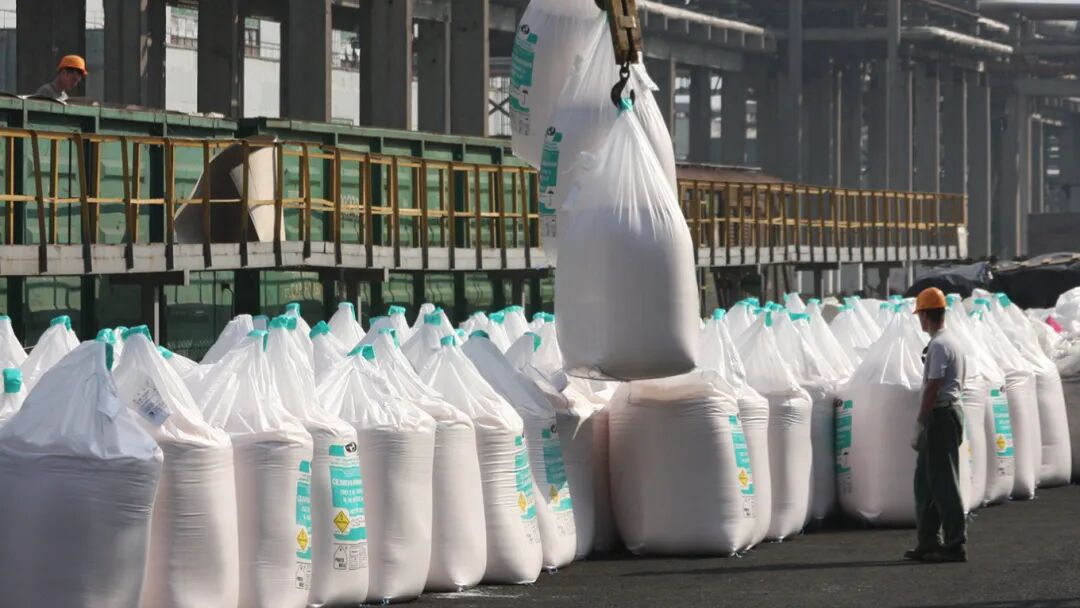 （图源/莫斯科时报）