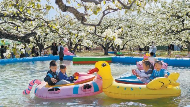 房山区京白梨大家族主题公园三千亩梨园迎来盛花期,公园把果林经济与观光旅游相结合,激活消费新动能。刘艳摄