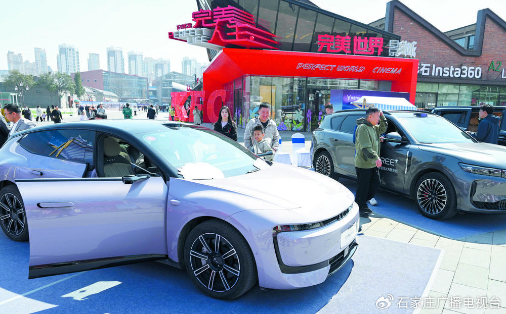 4��4�գ�2026ʯ��ׯ�������Ѽ������������֯��1953�ٰ죬��������������ǰ���ͳ���������