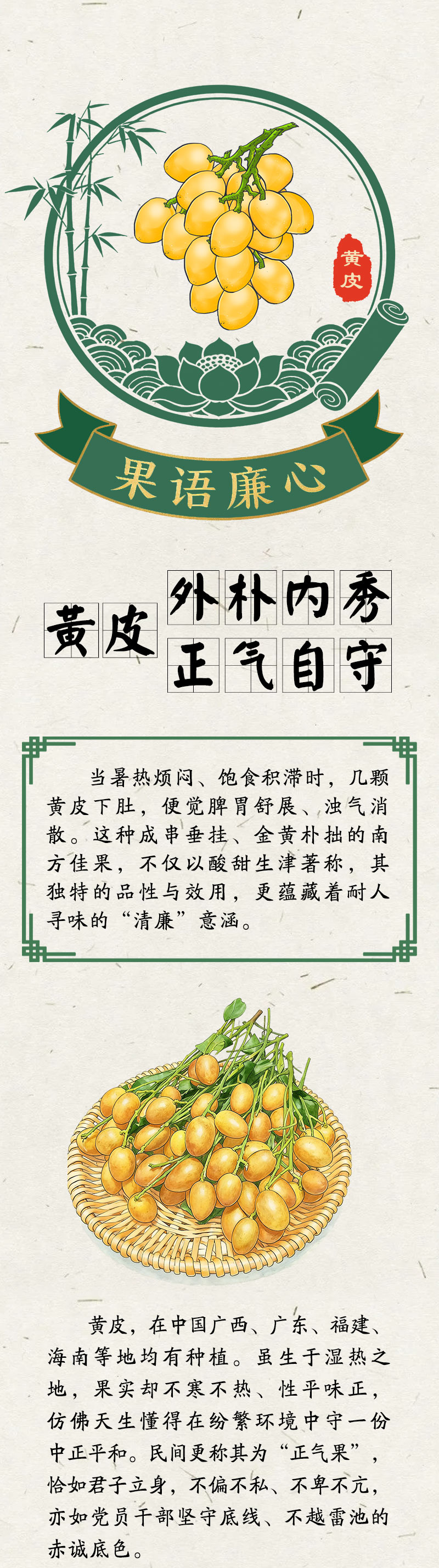 “果说”廉韵丨黄皮：外朴内秀 正气自守
