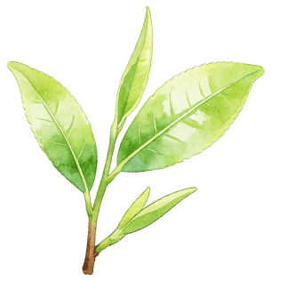 记者：石磊磊/文 包华/摄