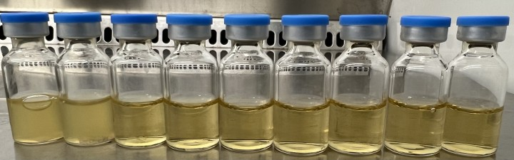 图2：微生物侵入式考证图