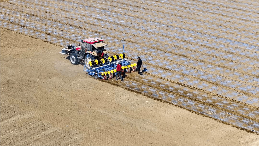 一台台搭载北斗导航系统的播种机匀速穿梭在田间  （央广网记者  姜茸  制图）
