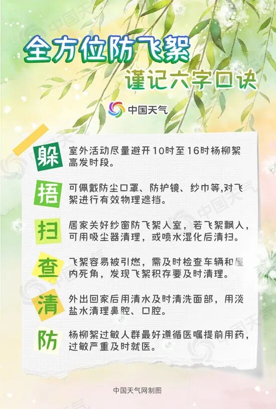 为什么不能把杨柳树都砍了？官方回应|杨树_新浪财经_新浪网