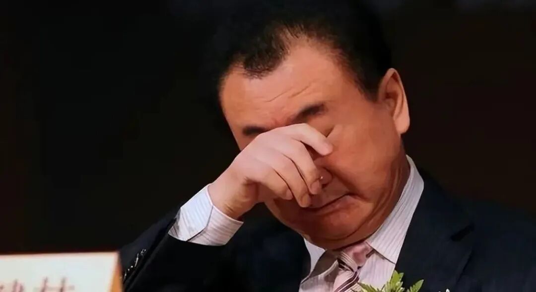 每天睁眼欠债2000万！王健林的“至暗2026”：80座广场卖了，连5000万“边角料”都被锁死