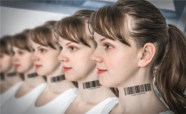 美国一家公司想要培育“无脑人体” 用于量产人体器官