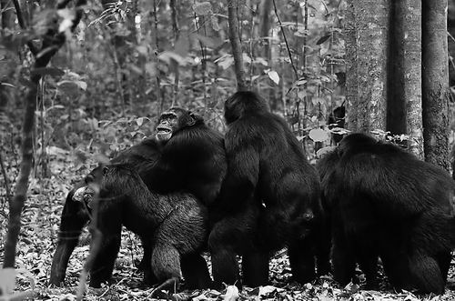 图片来源:Aaron SandelAARON