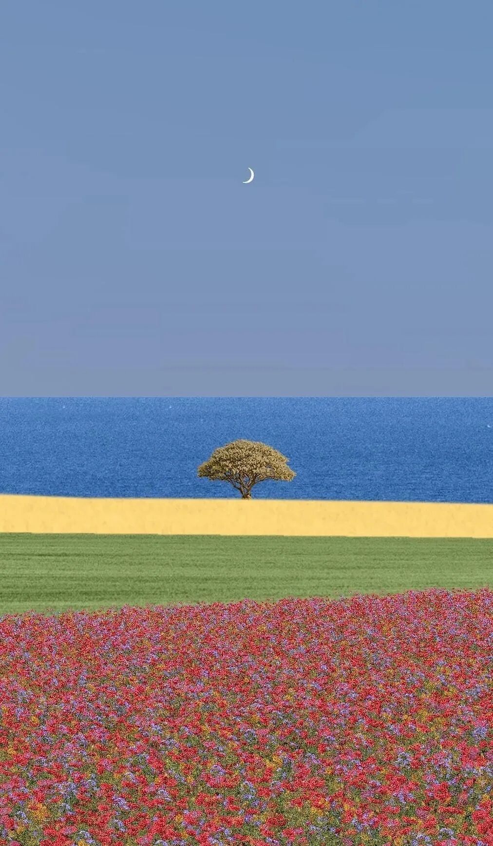 七言｜你值得一个更好的春天