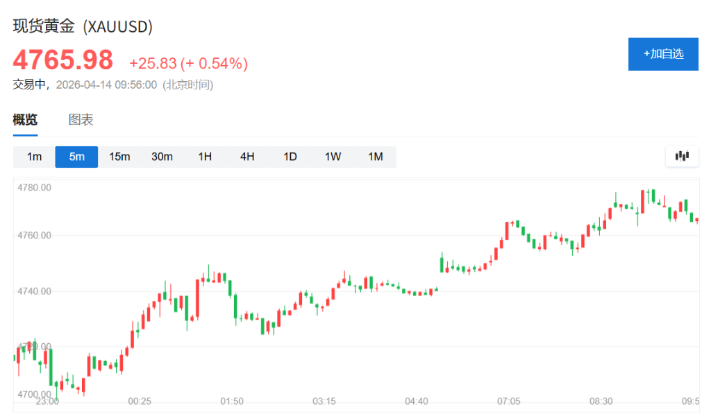 风险请示及免责要求