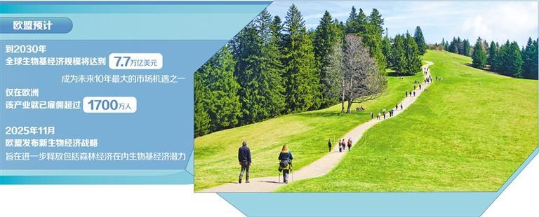 图为位于德国巴伐利亚州泰格塞附近的芒法尔山脉。（视觉中国）