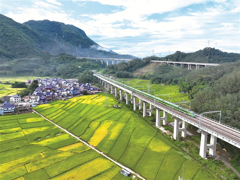 画里有话 | “友谊之路”活力奔涌