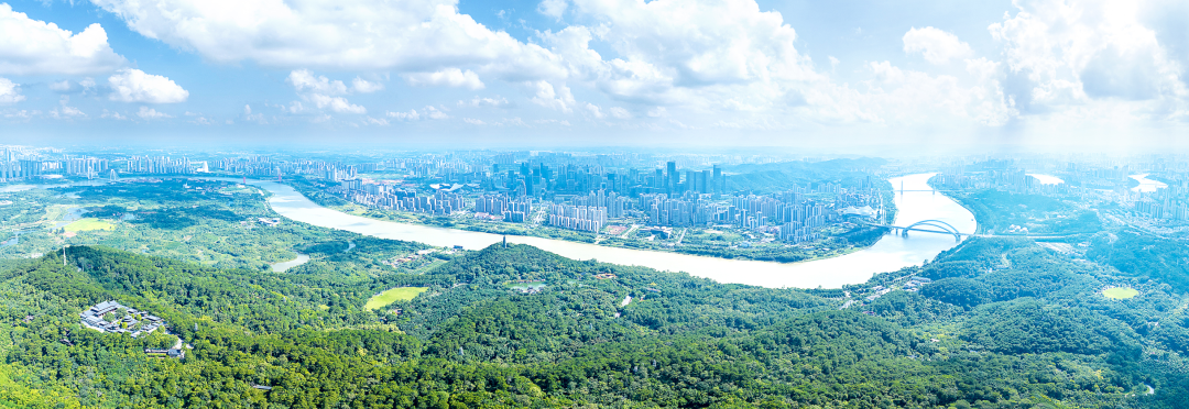 深化改革结硕果 砥砺前行谱新篇——2025年南宁市全面深化改革工作综述|南宁市_新浪财经_新浪网