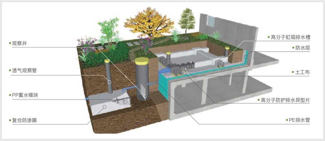 种植顶板虹吸排水系统解决方案 图源：凯伦股份