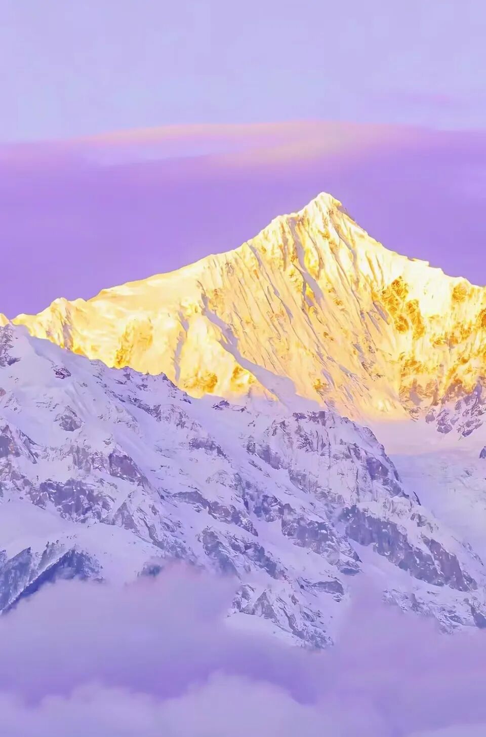 七言｜没人能预测未来，总有人后悔当初