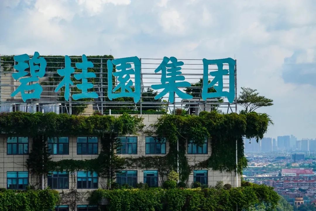 抖音点赞24小时免费，真的靠谱吗？