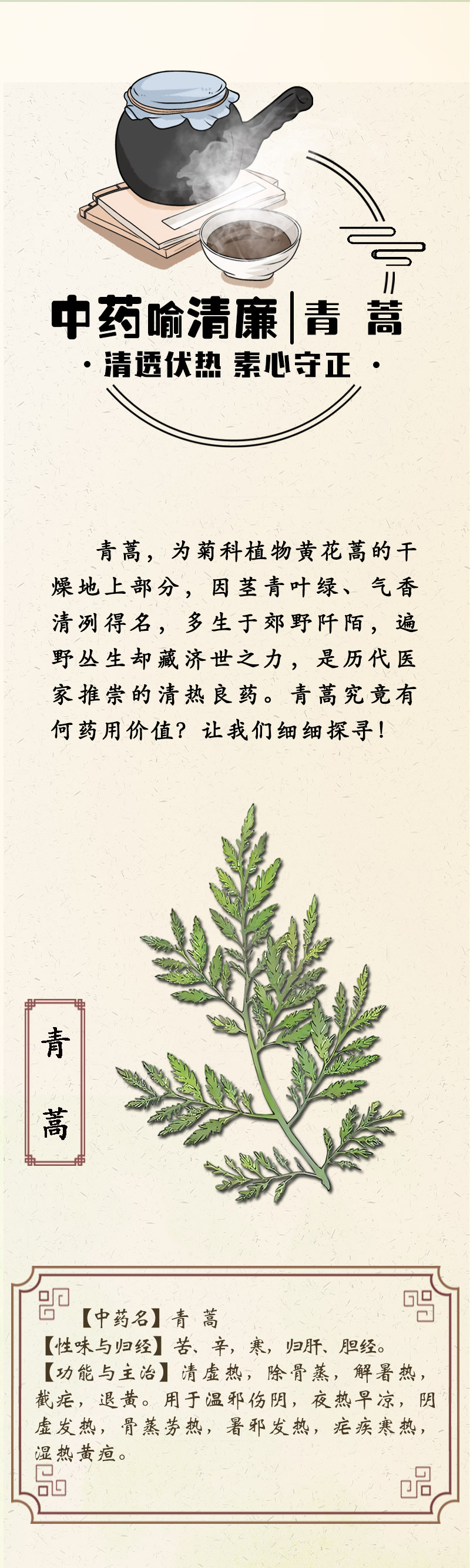 中药喻清廉丨青蒿：清透伏热 素心守正