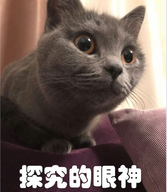 订婚时给了女友40万彩礼，在一起生活两年没结婚，现在要分手了，我能让她归还彩礼吗？