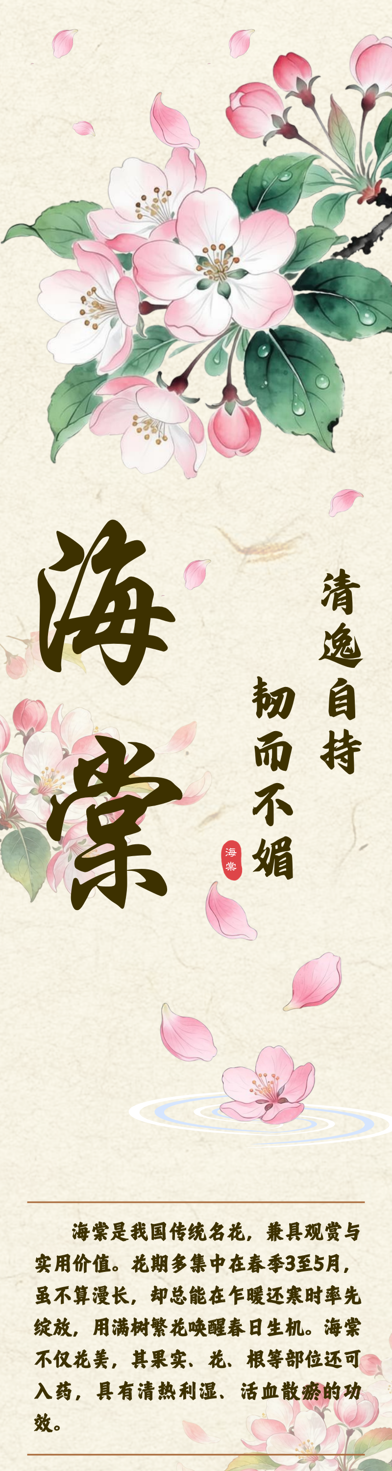 花寄廉语丨海棠：清逸自持 韧而不媚