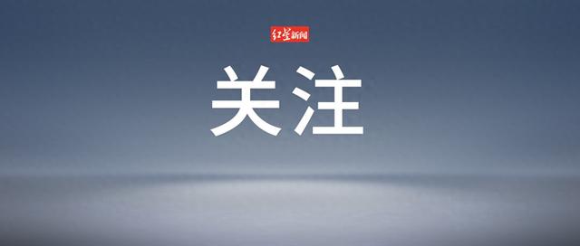 来源：极目新闻