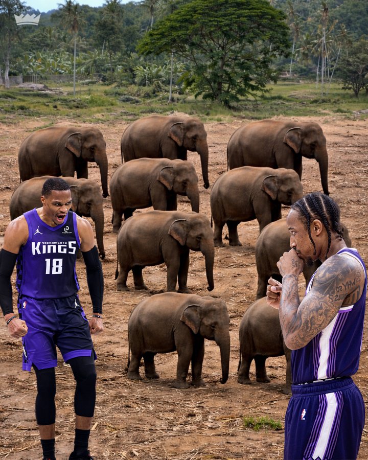 德罗赞愿帮威少跟大象打架哈登：我爱你们！但我先撤！