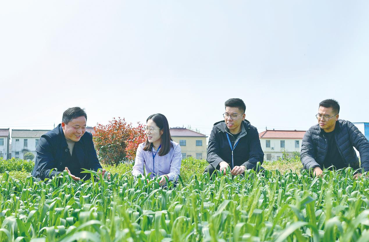 深度关注丨“一份建议”促“一域善治”