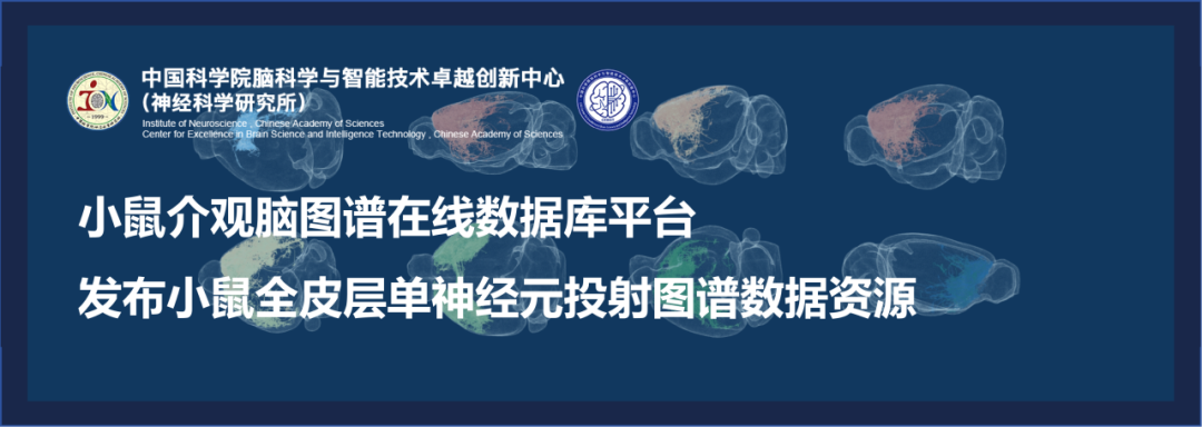 小鼠介观脑图谱在线数据库平台发布小鼠全皮层单神经元投射图谱数据资源|脑科学_新浪财经_新浪网
