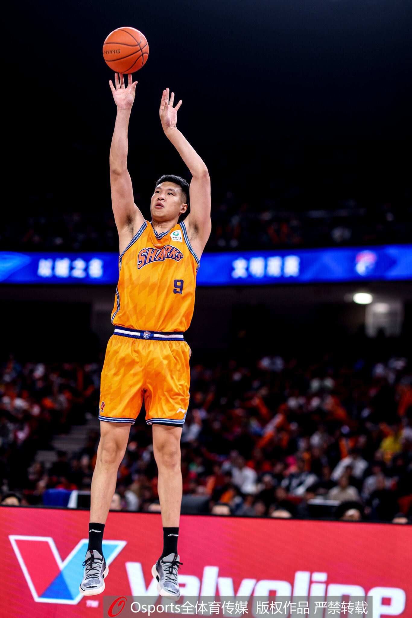 潜力赛-山东胜北京 同曦击败广厦 天津不敌青岛 上海战胜新疆