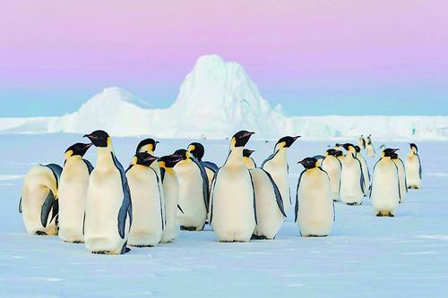 图片来源：Stefan Christmann