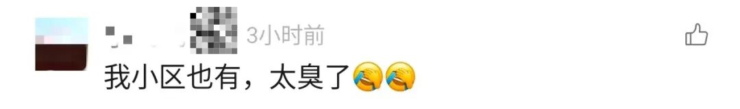 学校被劝退还可以重新上学吗