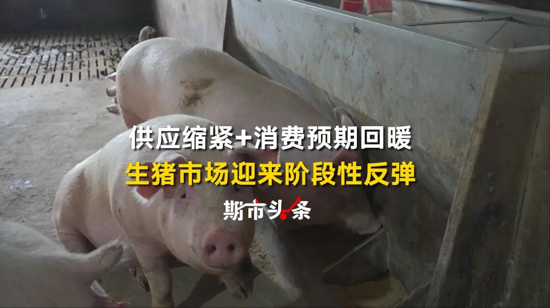 本文字数：1173，阅读时长大约2分钟