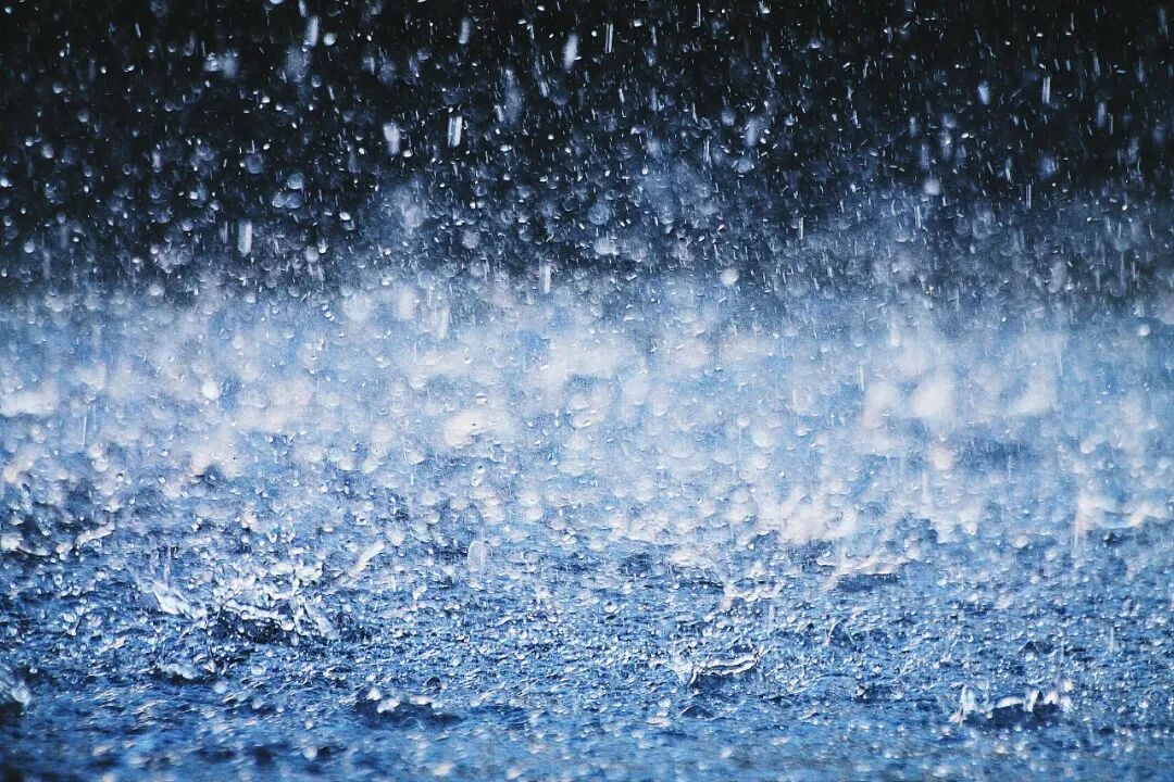 骤降10℃！中雨！阵风7级！南京最新天气预测_新浪财经_新浪网