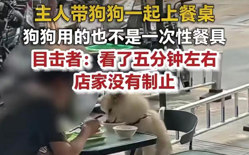 ▲餐厅顾客带狗上桌吃饭。图/荔枝新闻