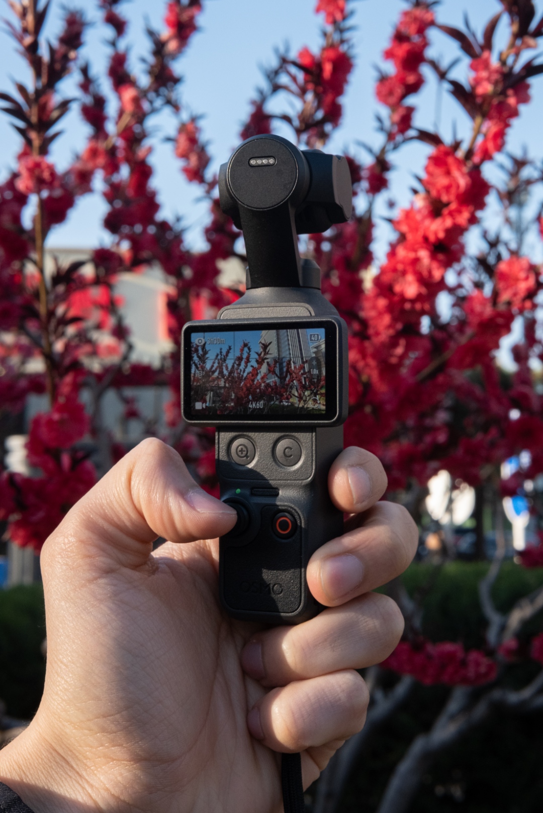 Pocket4｜图片来源：极客公园