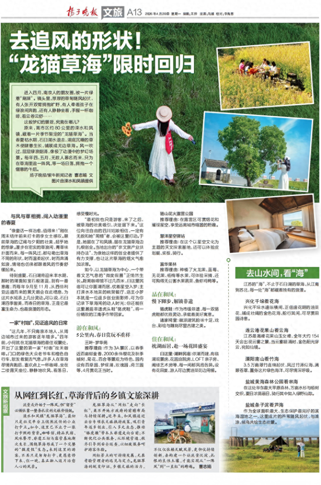 cmeh都有什么去追风的形状!“龙猫草海”限时回归-上海聚慕医疗器械有限公司