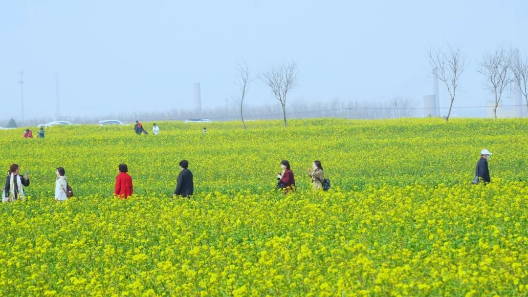 ��λ��ɳ���еĽ�ɳ�Ӻ����뾰�����ο����Ͳ˻��������档��·ɳ������ɭ��