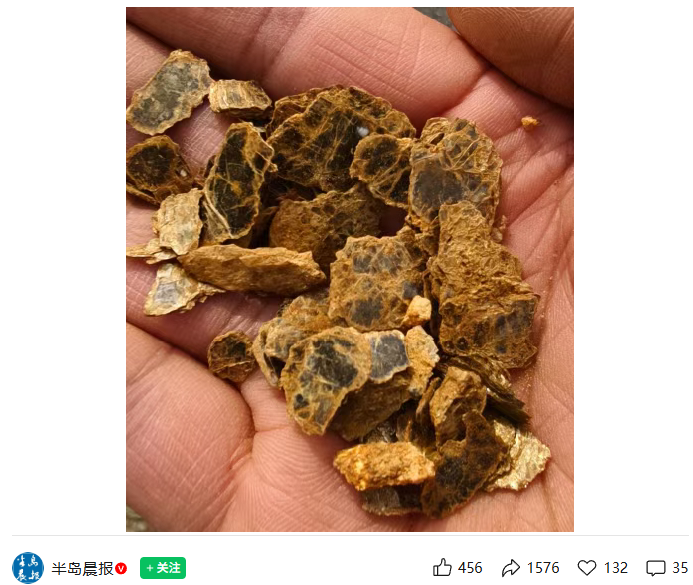  问荆草与金矿伴生：8岁男孩的科学发现与地质学验证 新闻