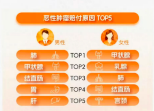 图6：男女性恶性肿瘤赔付原因对比，图片来源：平安人寿2025年理赔报告