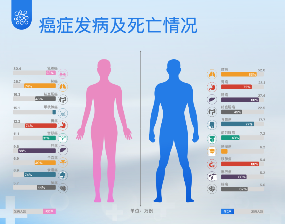 图8：癌症发病及死亡情况，图片来源：稻田健康