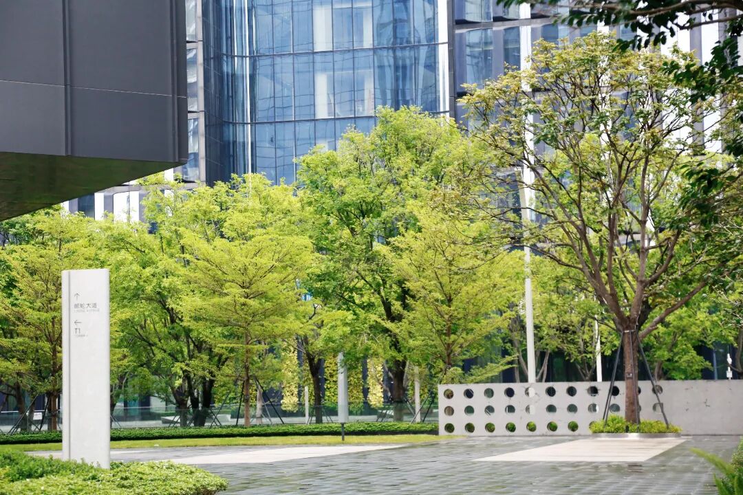 精工铸景,和鸣山海|南山中集太子湾大成广场_新浪财经_新浪网