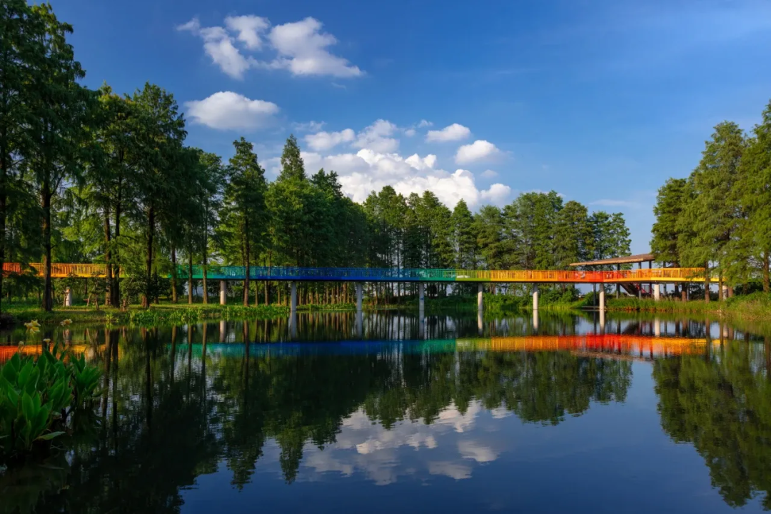 * 奥雅作品：武汉华侨城湿地公园