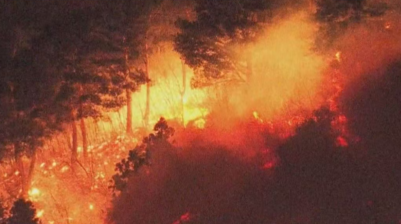 日本发生大规模山林火灾 约2000人被疏散