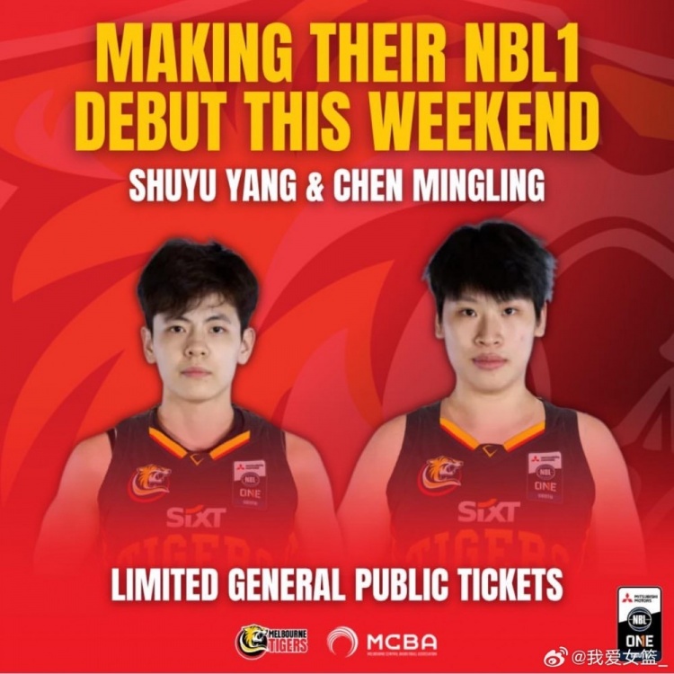 官宣：杨舒予&陈明伶本周末将迎来NBL1首秀！周末两天打背靠背！