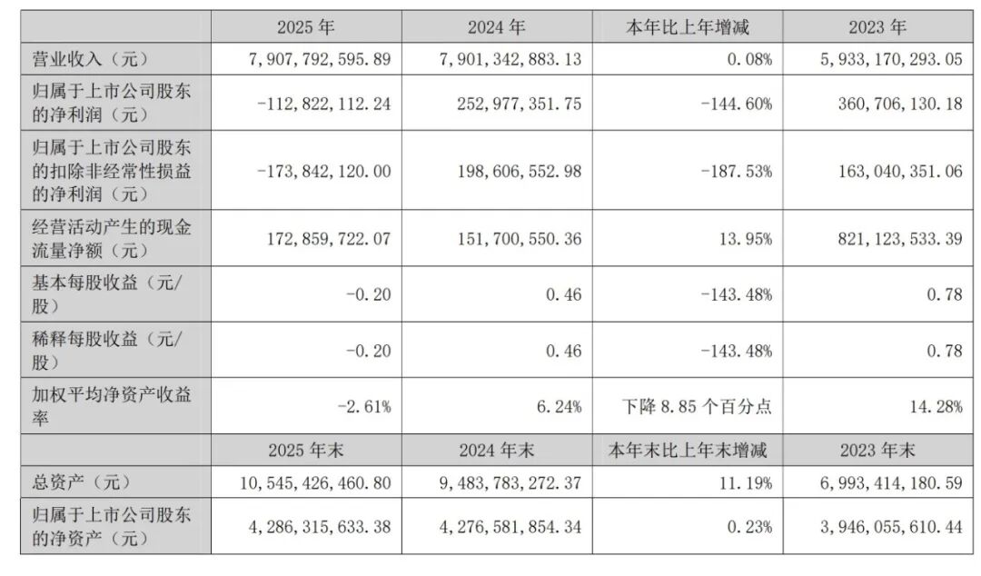 国光电器2025年年报截图