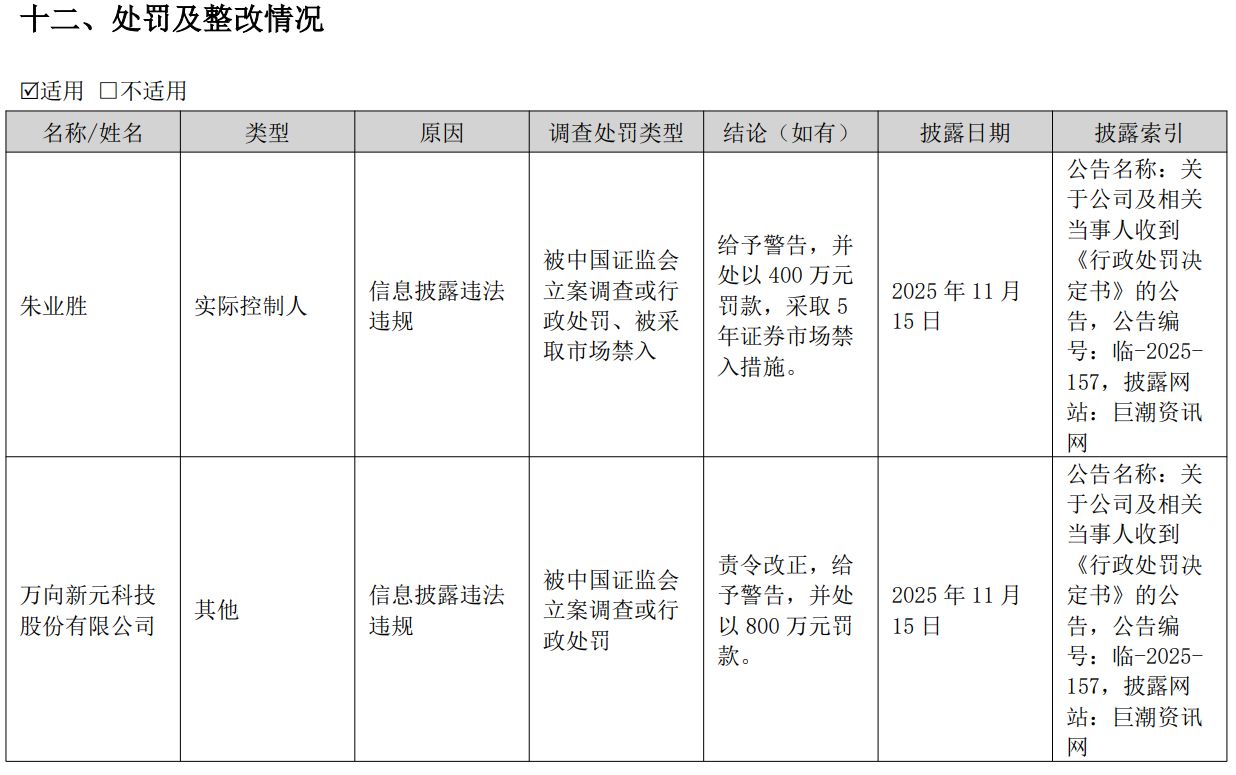 图片来源：*ST新元2025年年度报告