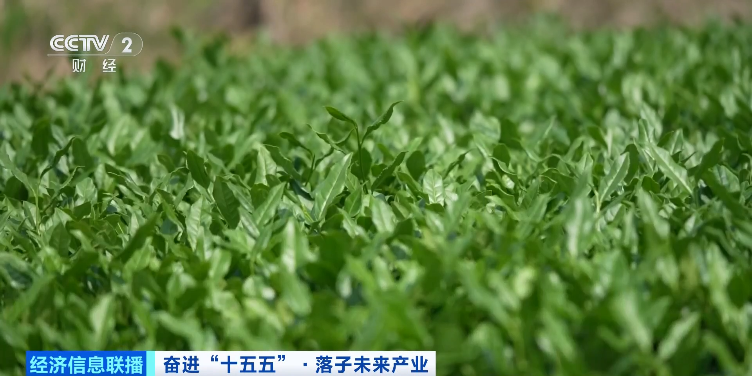 摆脱对石油、天然气依赖！这一超10000亿元大产业，爆发！