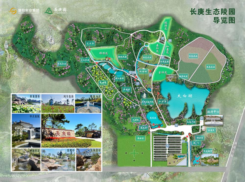 生态园竟变豪华“住宅式”墓地，售价200万元！总台记者调查