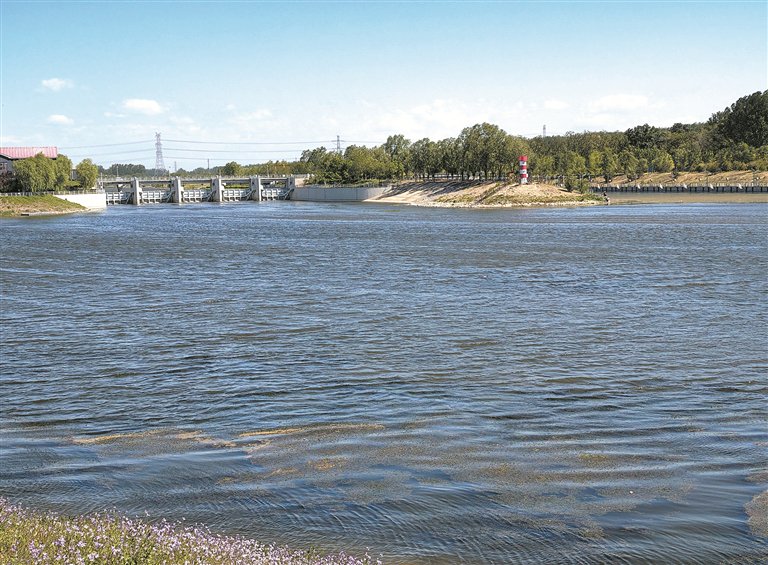 现场评 | 互学互鉴传承运河文化根脉